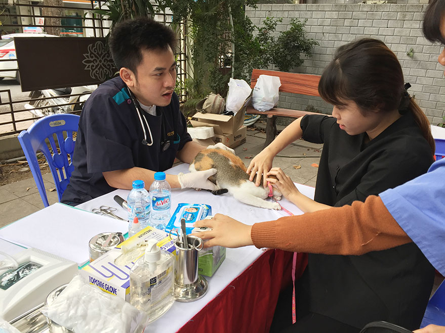 CARE YOUR PET - Ngày hội khám chữa bệnh miễn phí cho thú cưng thu hút giới trẻ Hà Thành