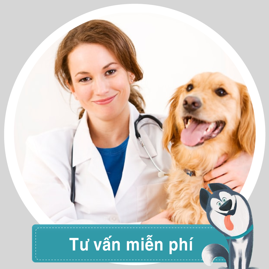 ( 3/3/2019 ) CARE YOUR PET - Ngày Hội Tiêm Phòng Giá Gốc Và Khám Chữa Bệnh Về Da Miễn Phí Cho Thú Cưng