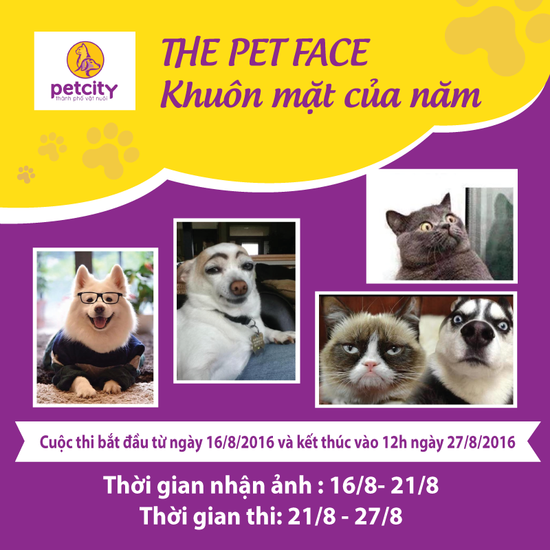 Kết quả cuộc thi The Pet Face
