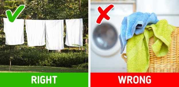 Top 10 Cách giúp phòng tắm luôn thơm tho mà không cần sử dụng máy lọc không khí