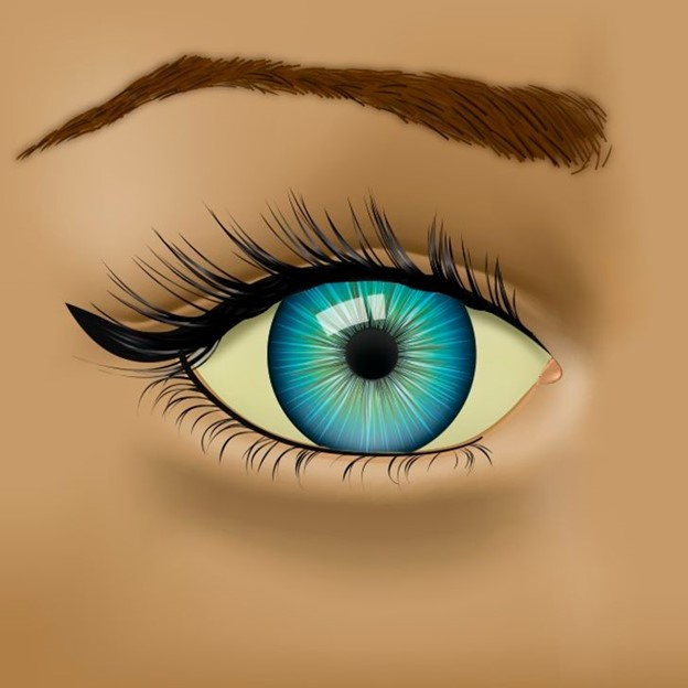 Top 7 Vấn đề về sức khỏe mà đôi mắt đang báo hiệu