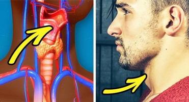 Top 8 Sự thật về cơ thể nam giới mà chúng ta chưa biết
