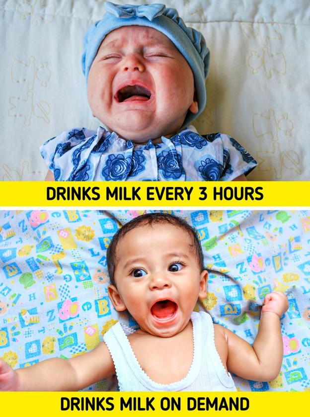 Top 10 Quan niệm sai lầm khi cho con bú sữa, các bà mẹ nên biết