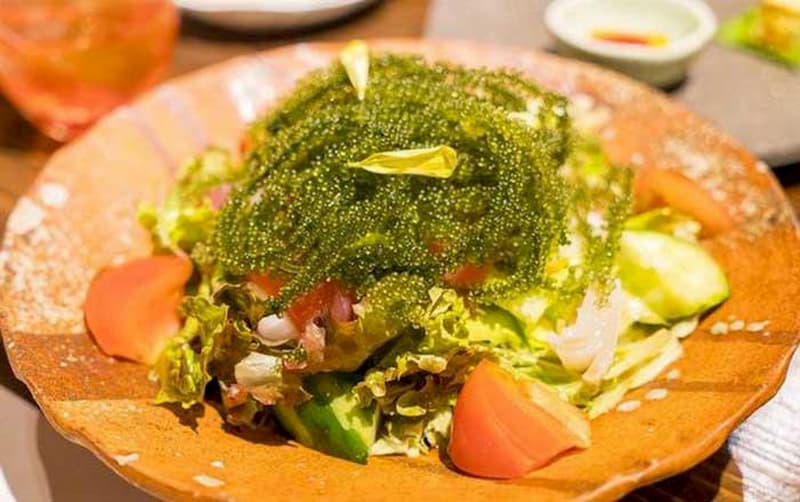 Top 10 Món salad rong nho bổ dưỡng với công thức đơn giản tại nhà