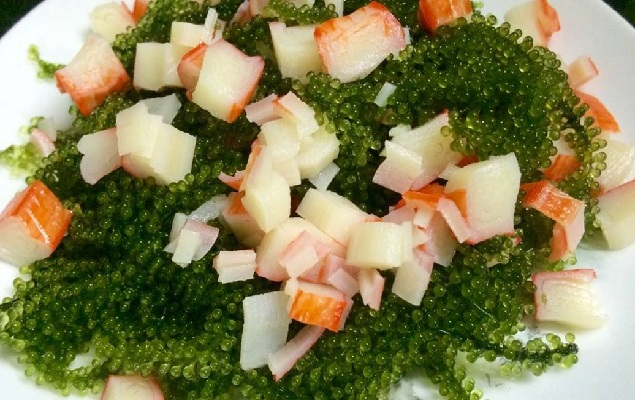 Top 10 Món salad rong nho bổ dưỡng với công thức đơn giản tại nhà
