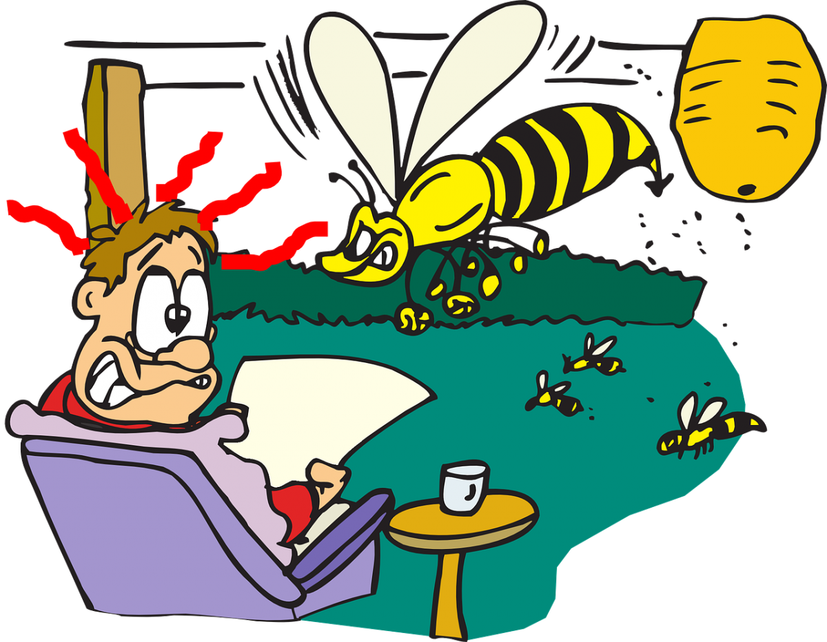 Chi tiết về điềm báo tương lai của hiện tượng ong làm tổ trong nhà