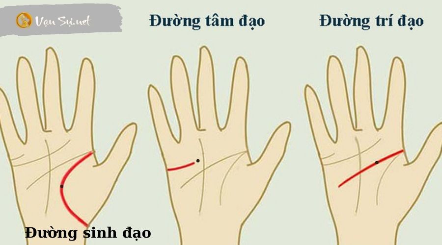 Tiết lộ bí mật của 11 vị trí nốt ruồi trên bàn tay